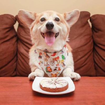 maegoyo (qrscanner.lens) Lens social identity (.lens handle) PFP