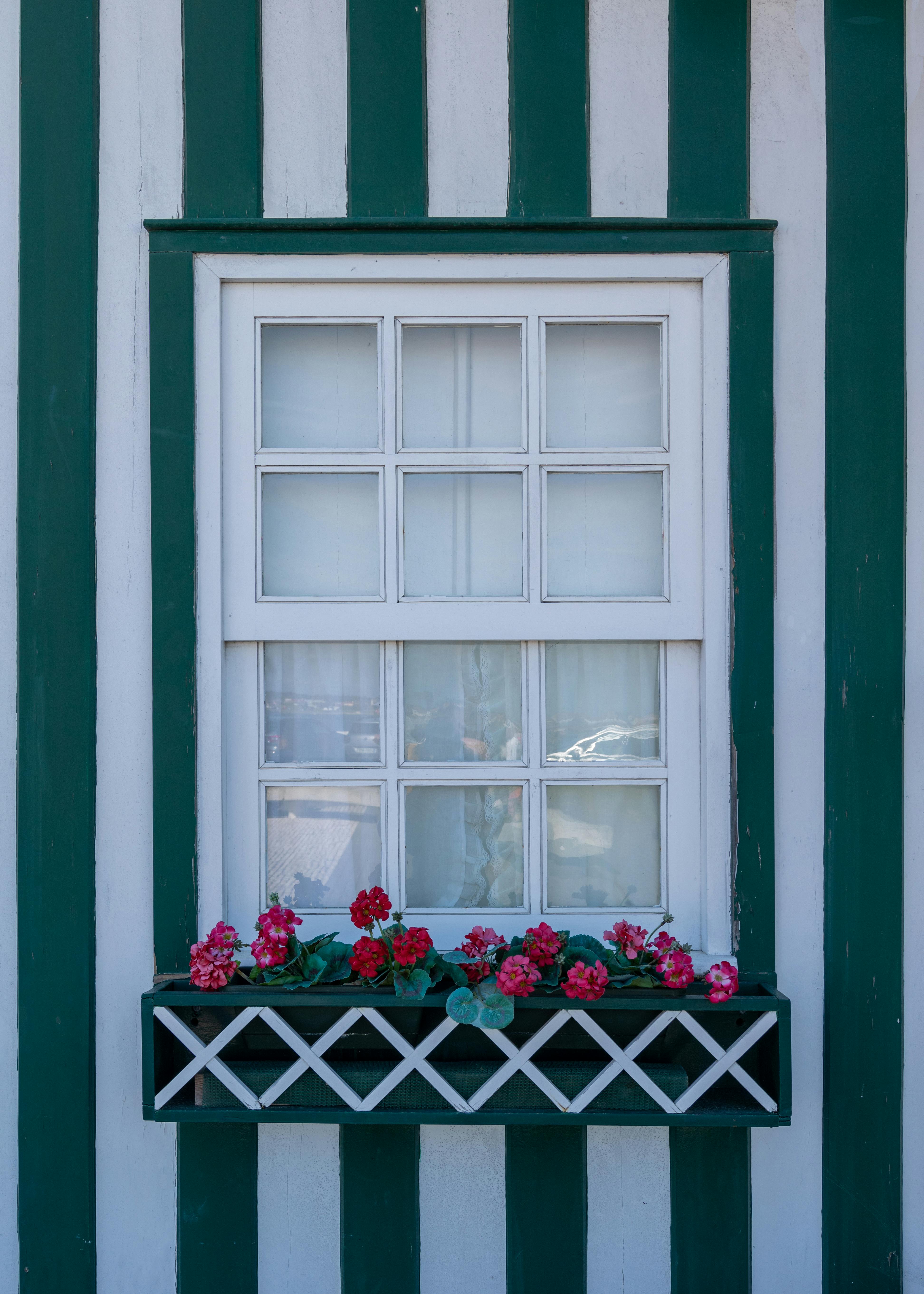 daphne (edeeee.lens) Lens social identity (.lens handle) PFP