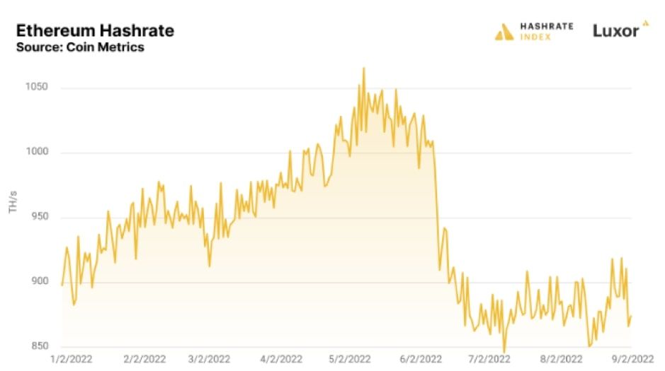 Chip (mchip.lens) Lens social identity (.lens handle) PFP