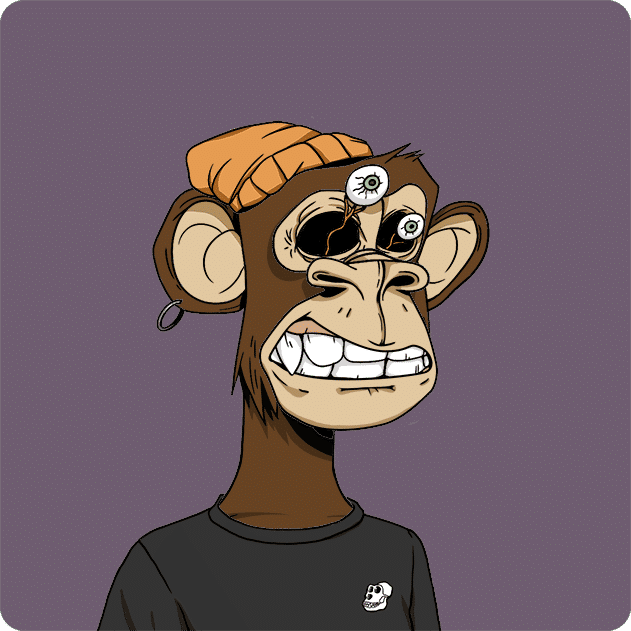 wenwen's Lens avatar