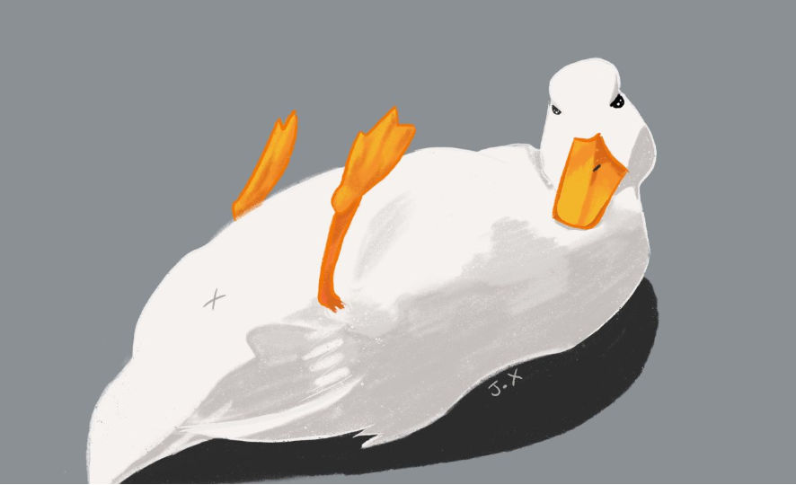 Duck (ducksducks.lens) Lens social identity (.lens handle) PFP