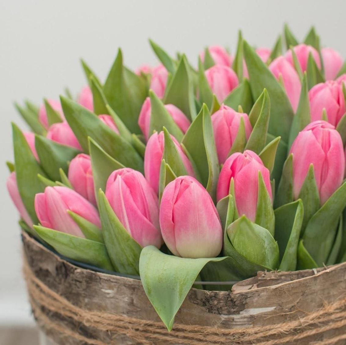 hiret (hiret.lens) Lens social identity (.lens handle) PFP