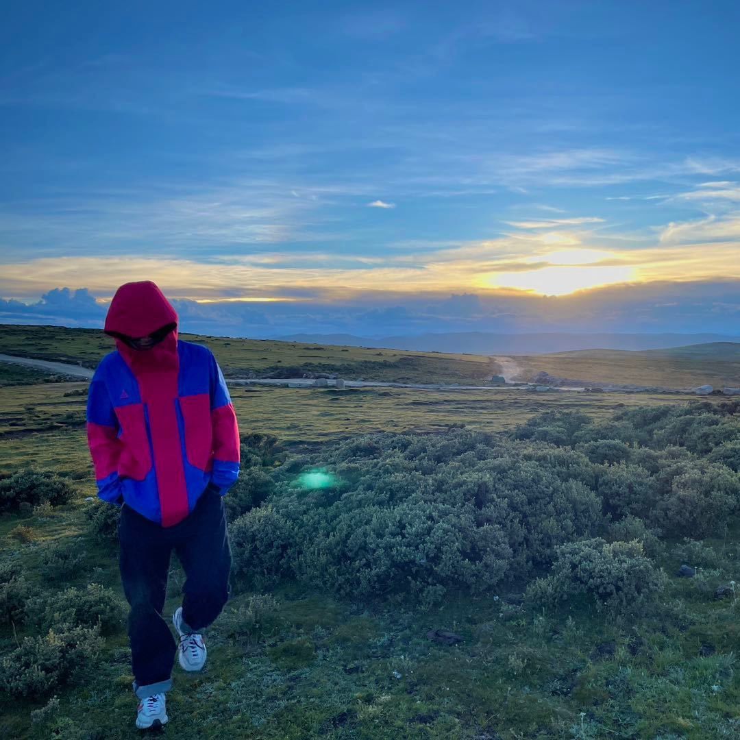 michael (michael4free.lens) Lens social identity (.lens handle) PFP