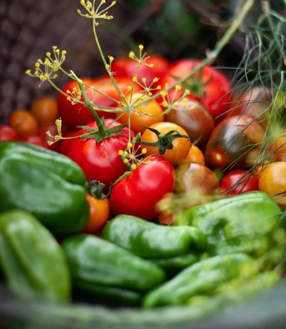 lloyds1978 (lloyds1978.lens) Lens social identity (.lens handle) PFP