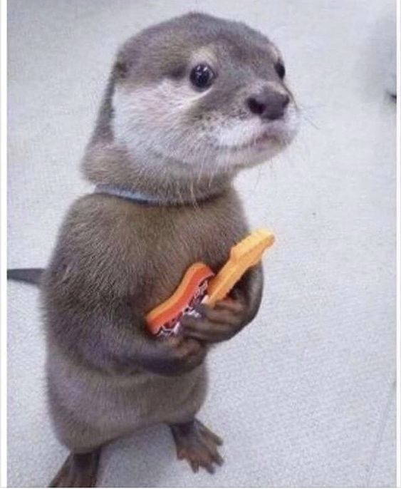 kostr (kosrtik.lens) Lens social identity (.lens handle) PFP