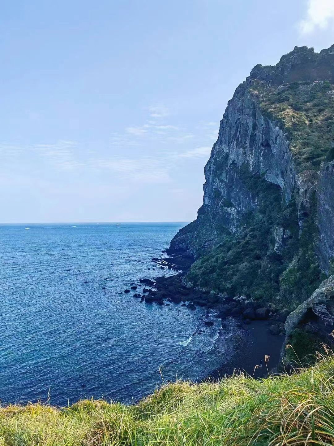 抖音 (dan7878.lens) Lens social identity (.lens handle) PFP