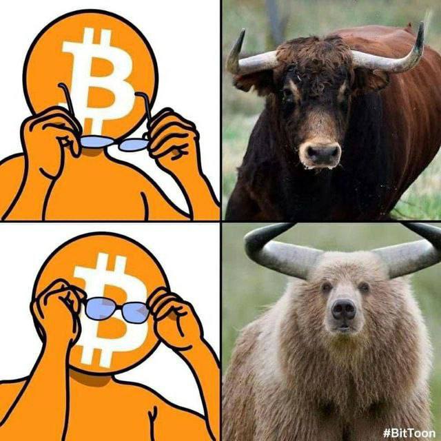 whatmyname (whatmyname.lens) Lens social identity (.lens handle) PFP