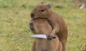 molovicho.lens Lens social identity (.lens handle) PFP