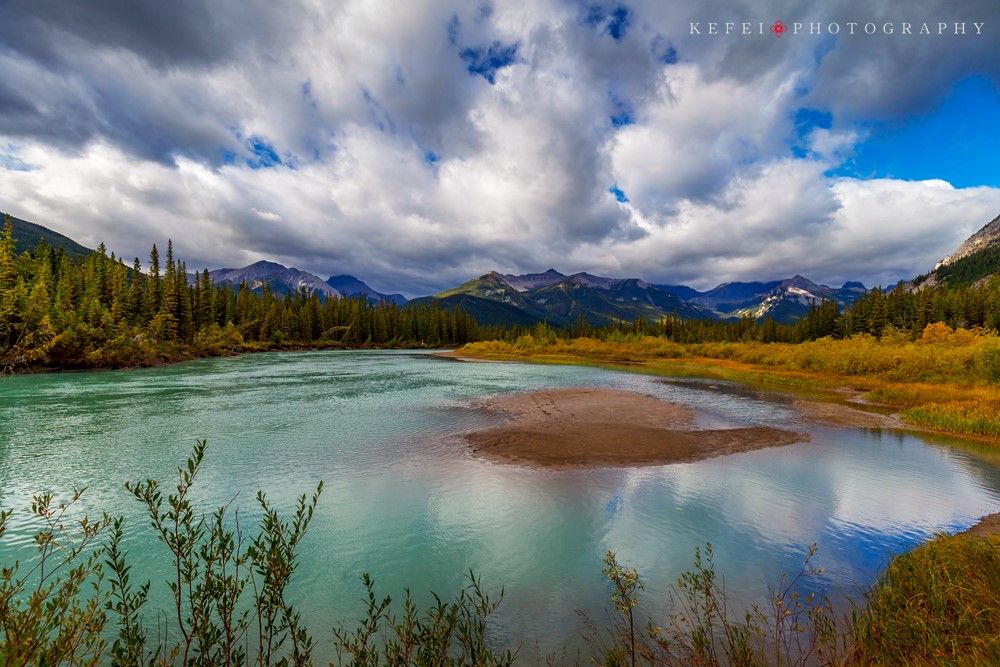 Benson Rose (bensonrose.lens) Lens social identity (.lens handle) PFP