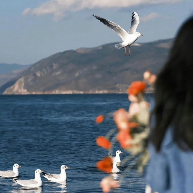 Celeste Lizzie (ybvvv.lens) Lens social identity (.lens handle) PFP