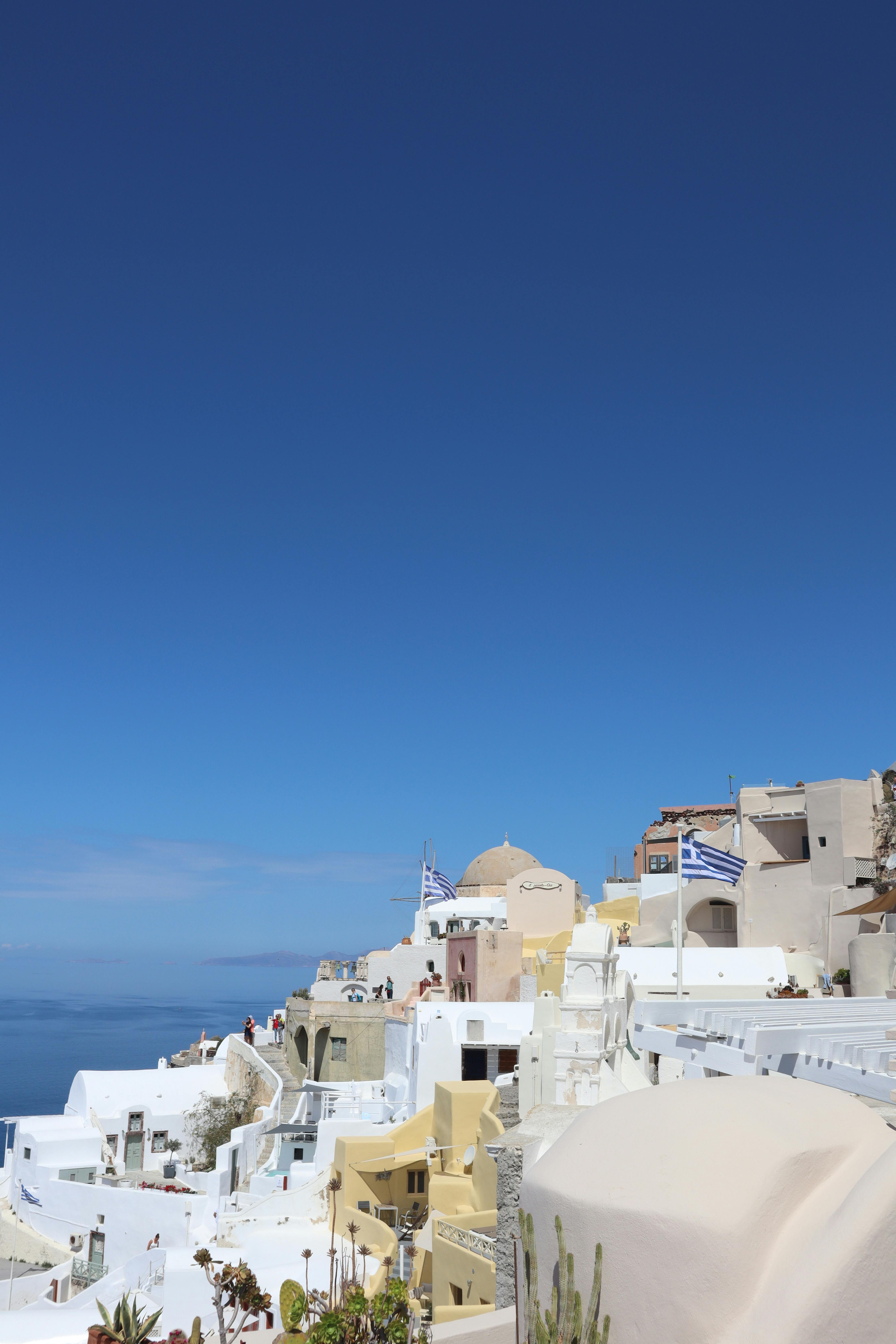 coco (cvffgt.lens) Lens social identity (.lens handle) PFP