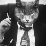 novik (novik.lens) Lens social identity (.lens handle) PFP