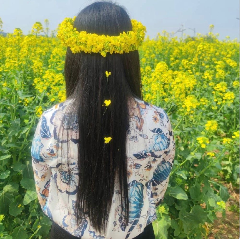 帕拉拉's Lens avatar