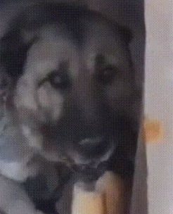 Hrymyauchik (hrymyau.lens) Lens social identity (.lens handle) PFP