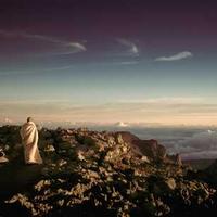 gophysical (gophysical.lens) Lens social identity (.lens handle) PFP