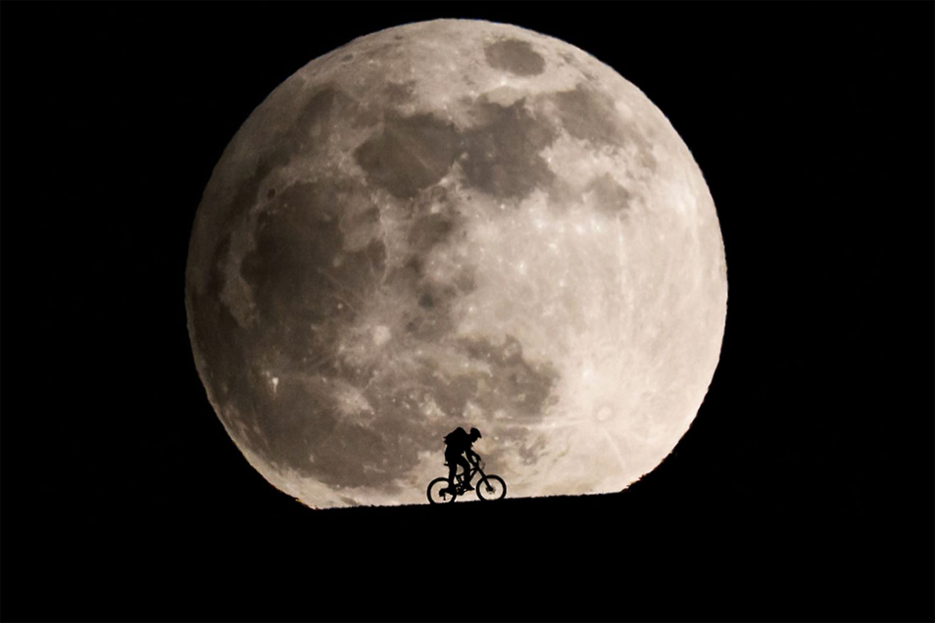 ONE (salsalodre.lens) Lens social identity (.lens handle) PFP