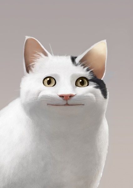 upleck's Lens avatar