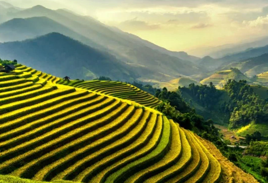 Billie (billie3020.lens) Lens social identity (.lens handle) PFP