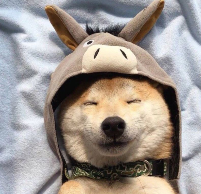 chieff (chieff.lens) Lens social identity (.lens handle) PFP