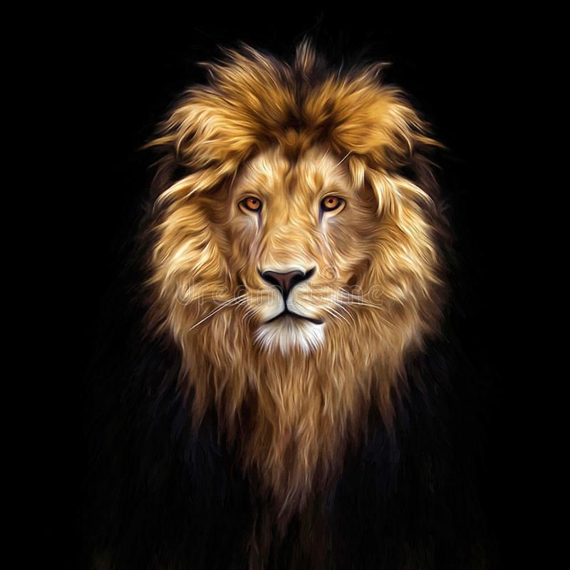 Mike Brauni's Lens avatar