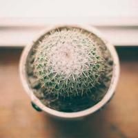 tradecharge (tradecharge.lens) Lens social identity (.lens handle) PFP