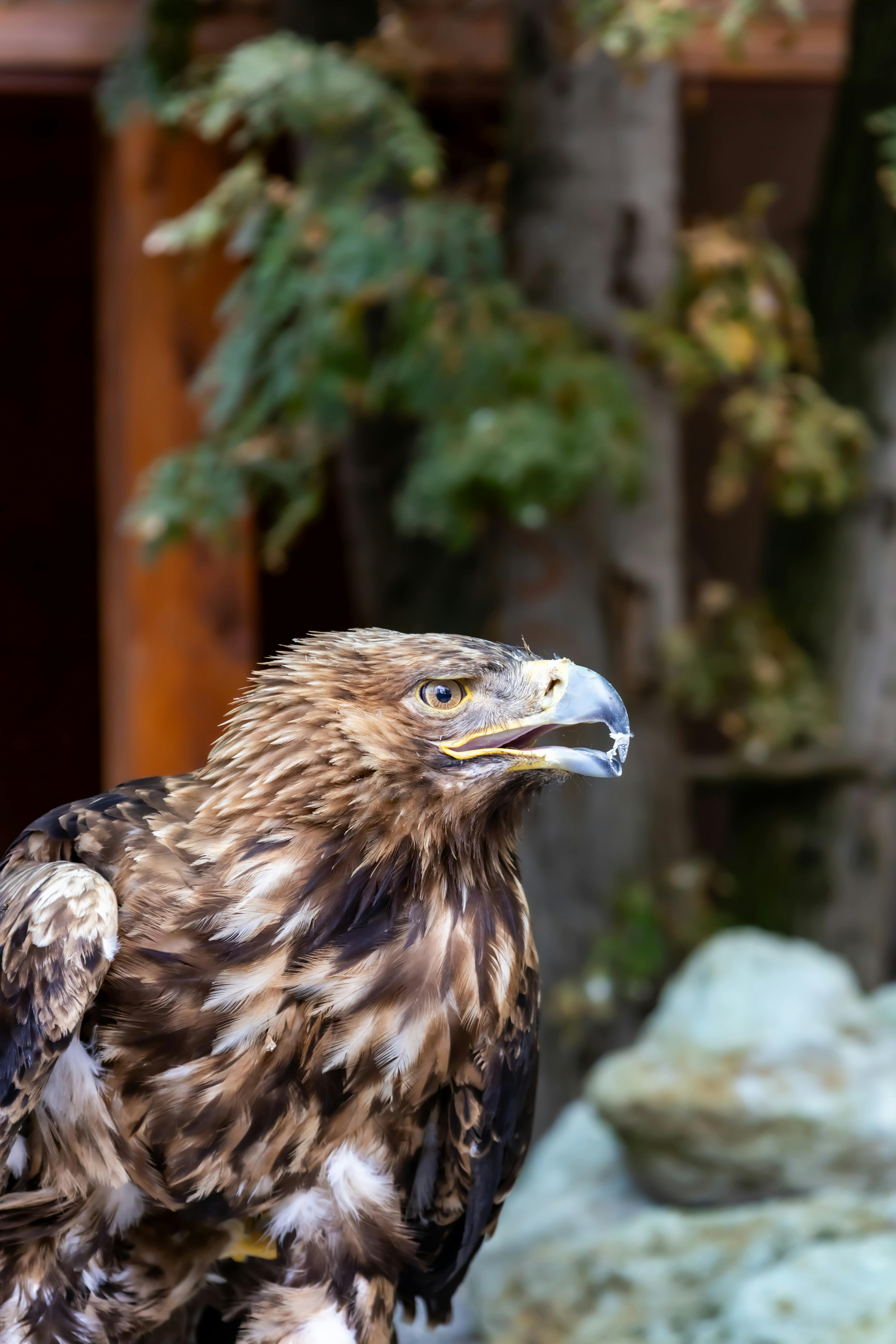 GEge (yxuasa.lens) Lens social identity (.lens handle) PFP