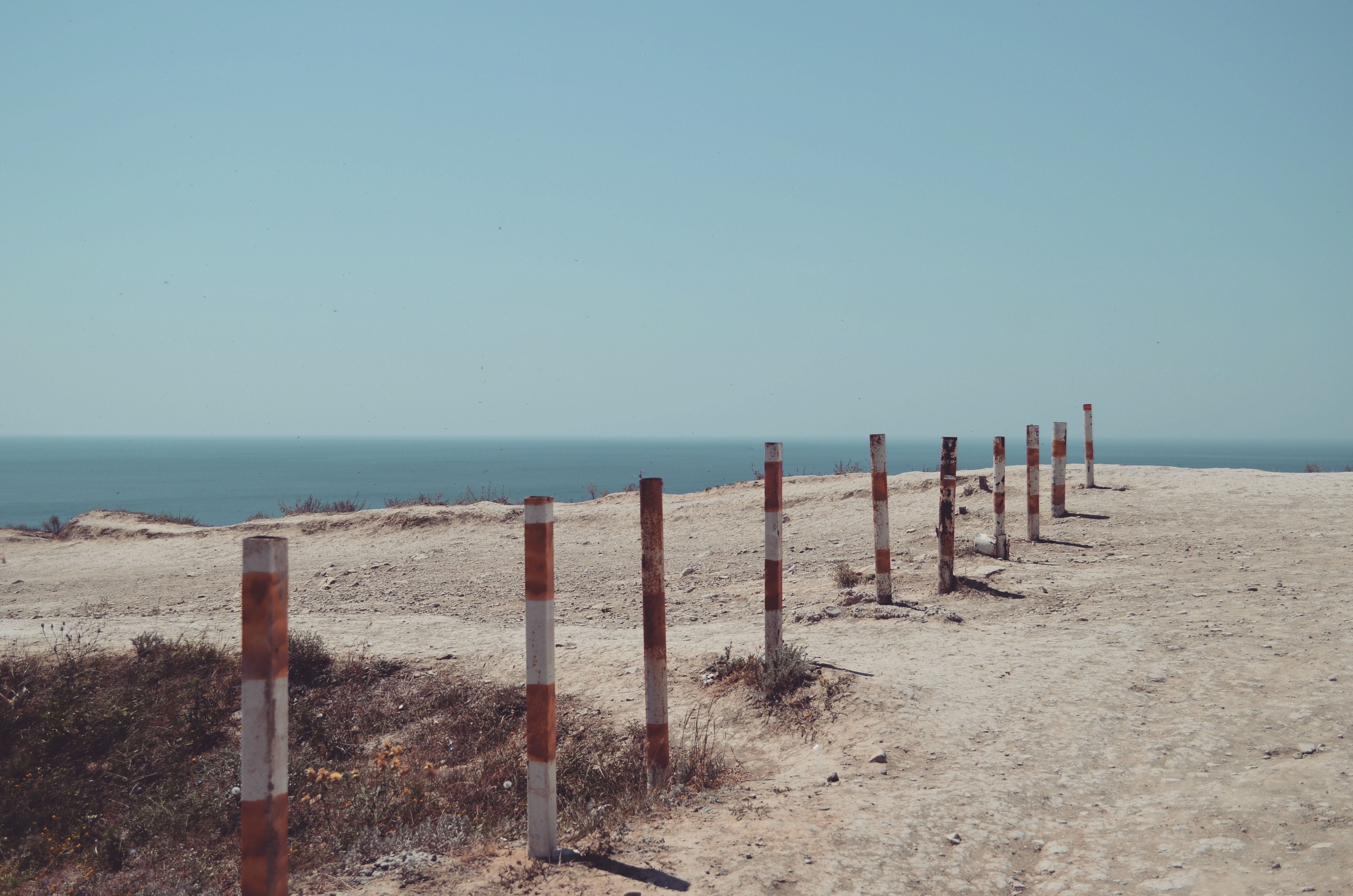 rex tompson (saranchaus.lens) Lens social identity (.lens handle) PFP