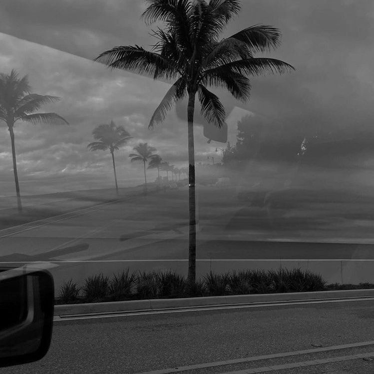 Justin's Lens avatar