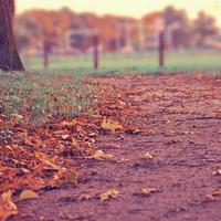 southerntoday (southerntoday.lens) Lens social identity (.lens handle) PFP