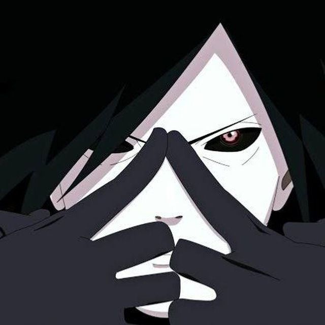 Catnip's Lens avatar