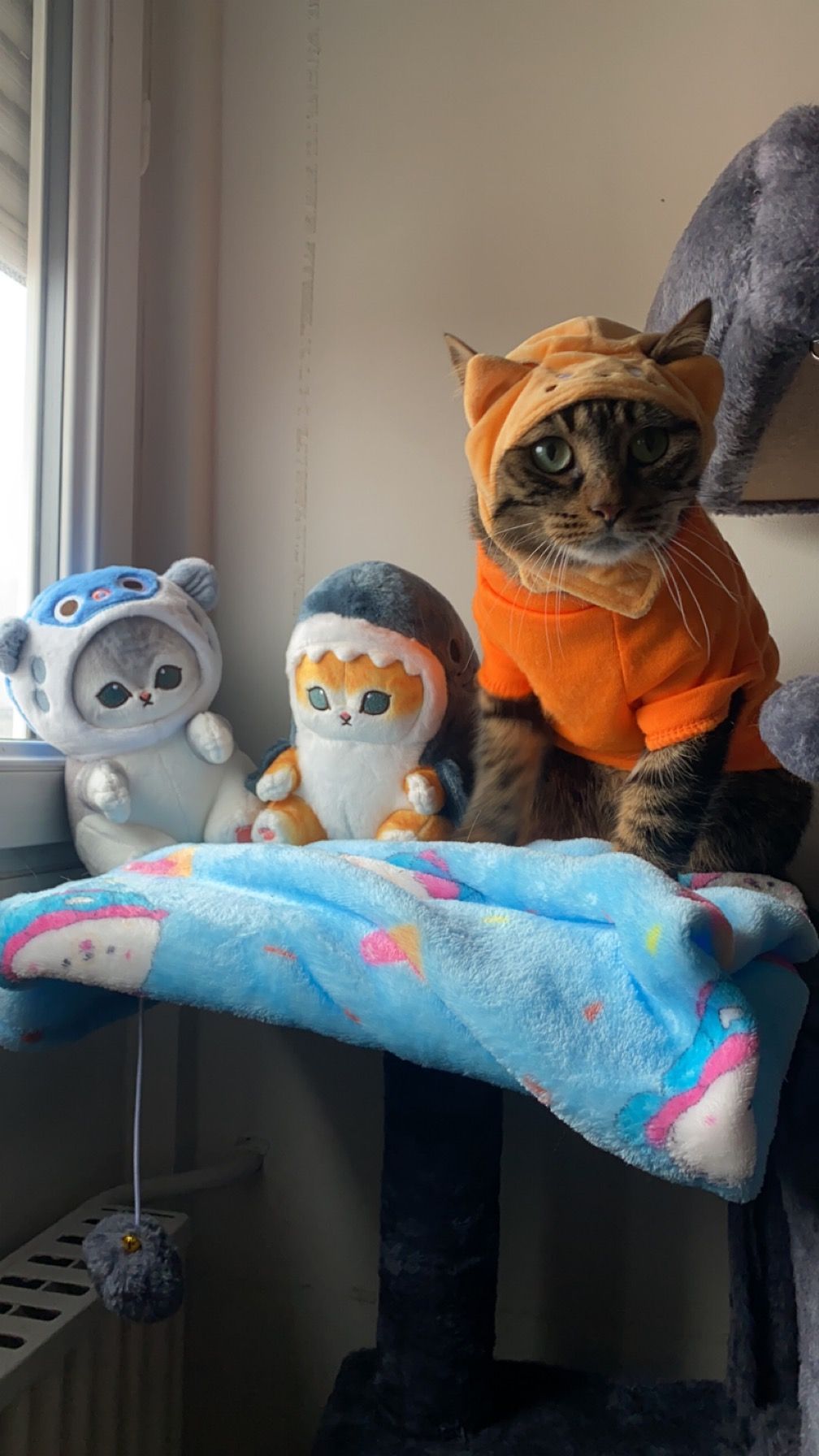 Emp (emp_x07.lens) Lens social identity (.lens handle) PFP