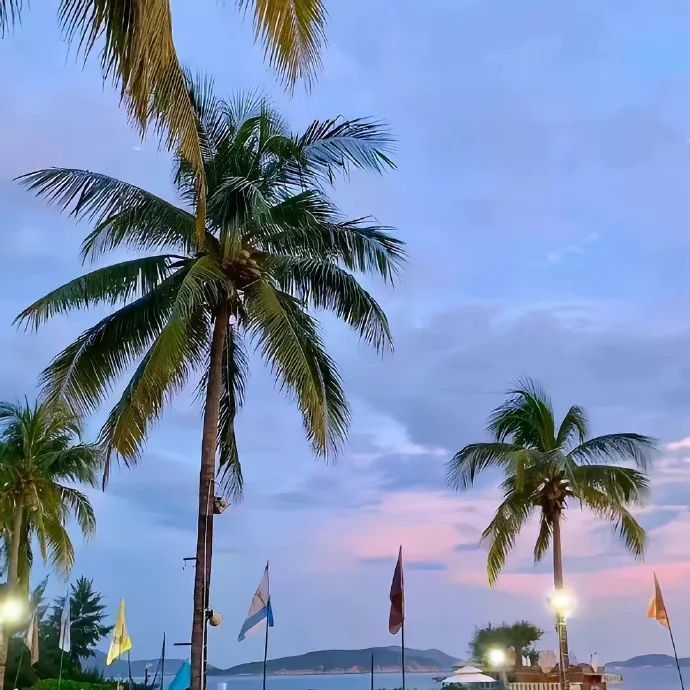 VF34f0 (vf34f0.lens) Lens social identity (.lens handle) PFP