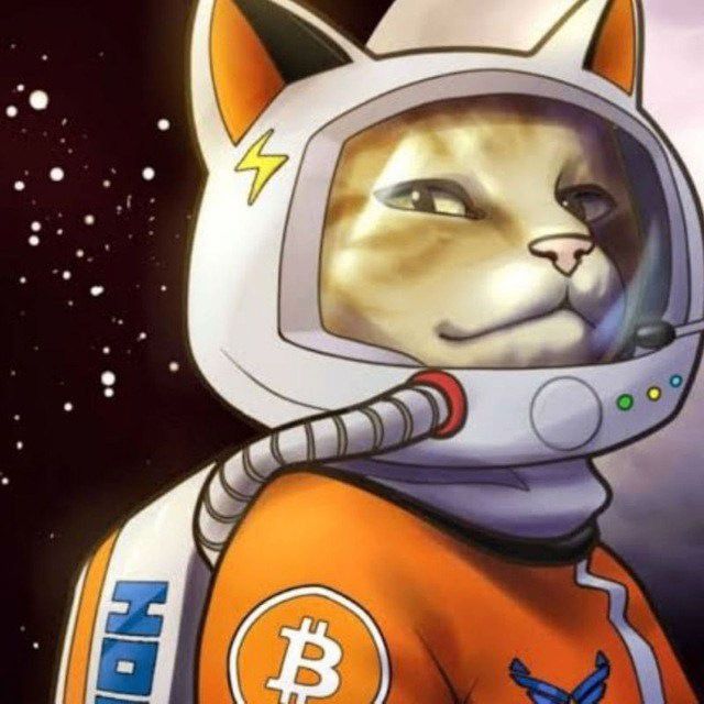 richiecat's Lens avatar