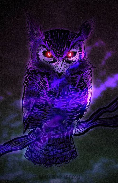 Shadows's Lens avatar