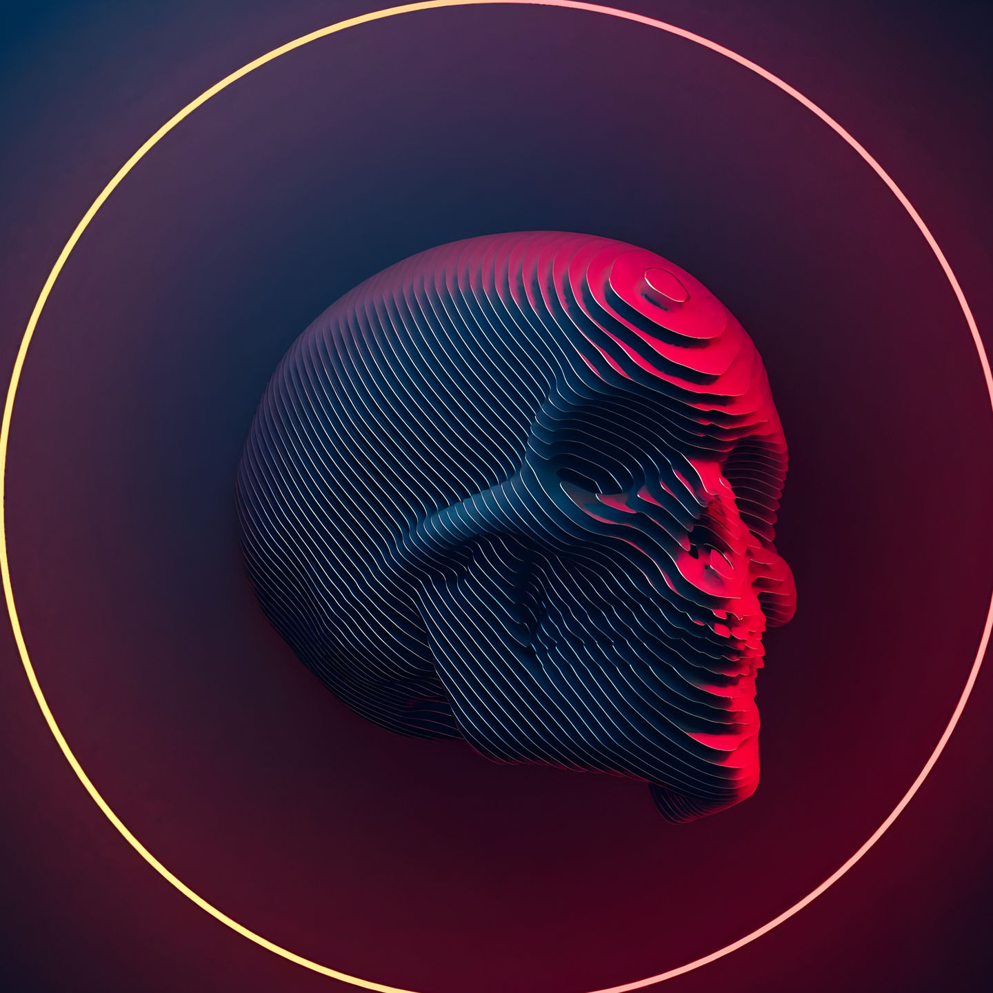 Love's Lens avatar