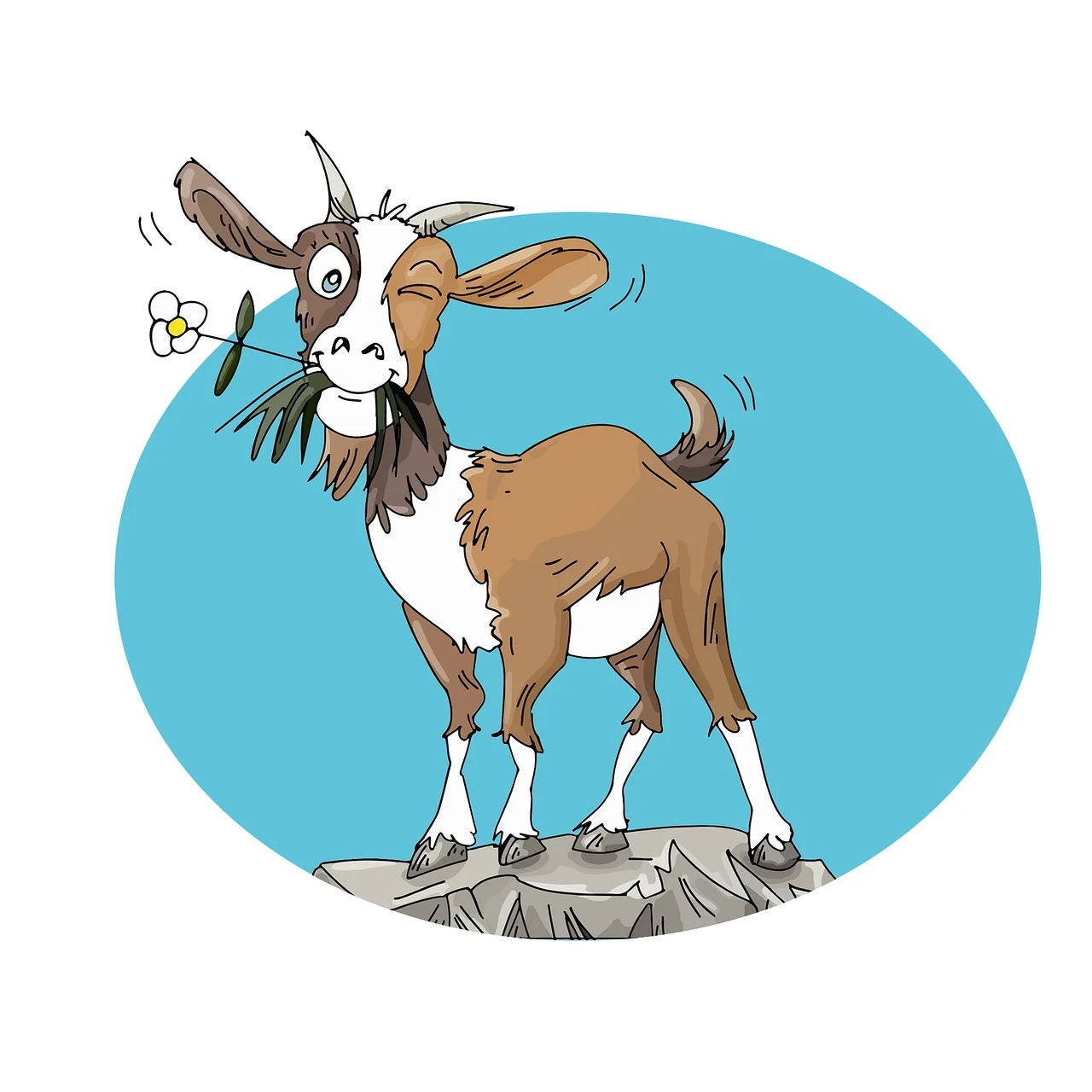 capra's Lens avatar