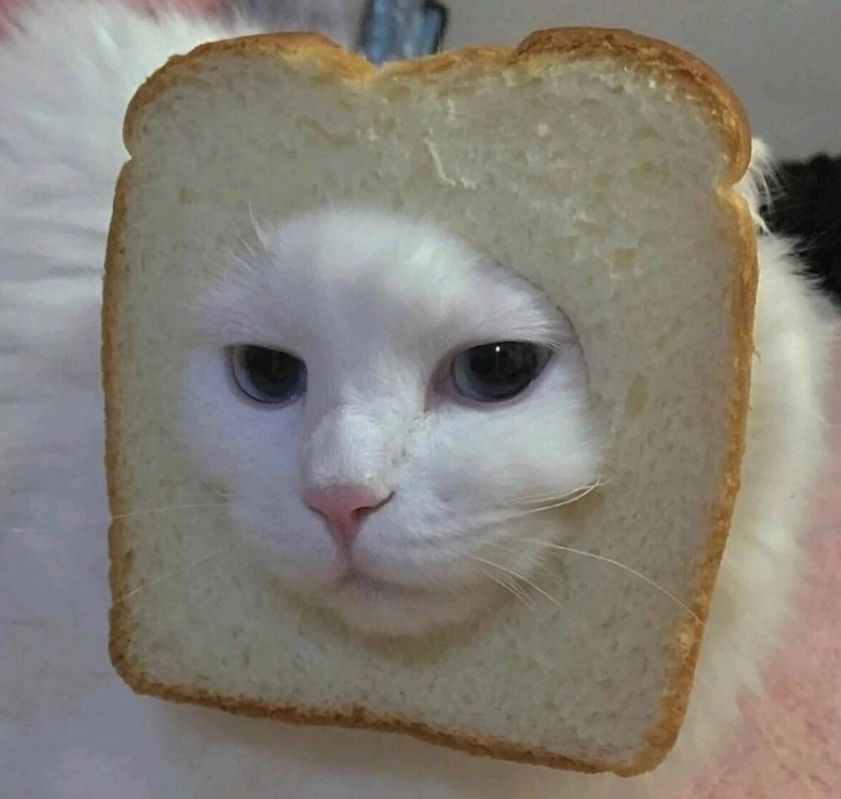 leonan (leonan.lens) Lens social identity (.lens handle) PFP