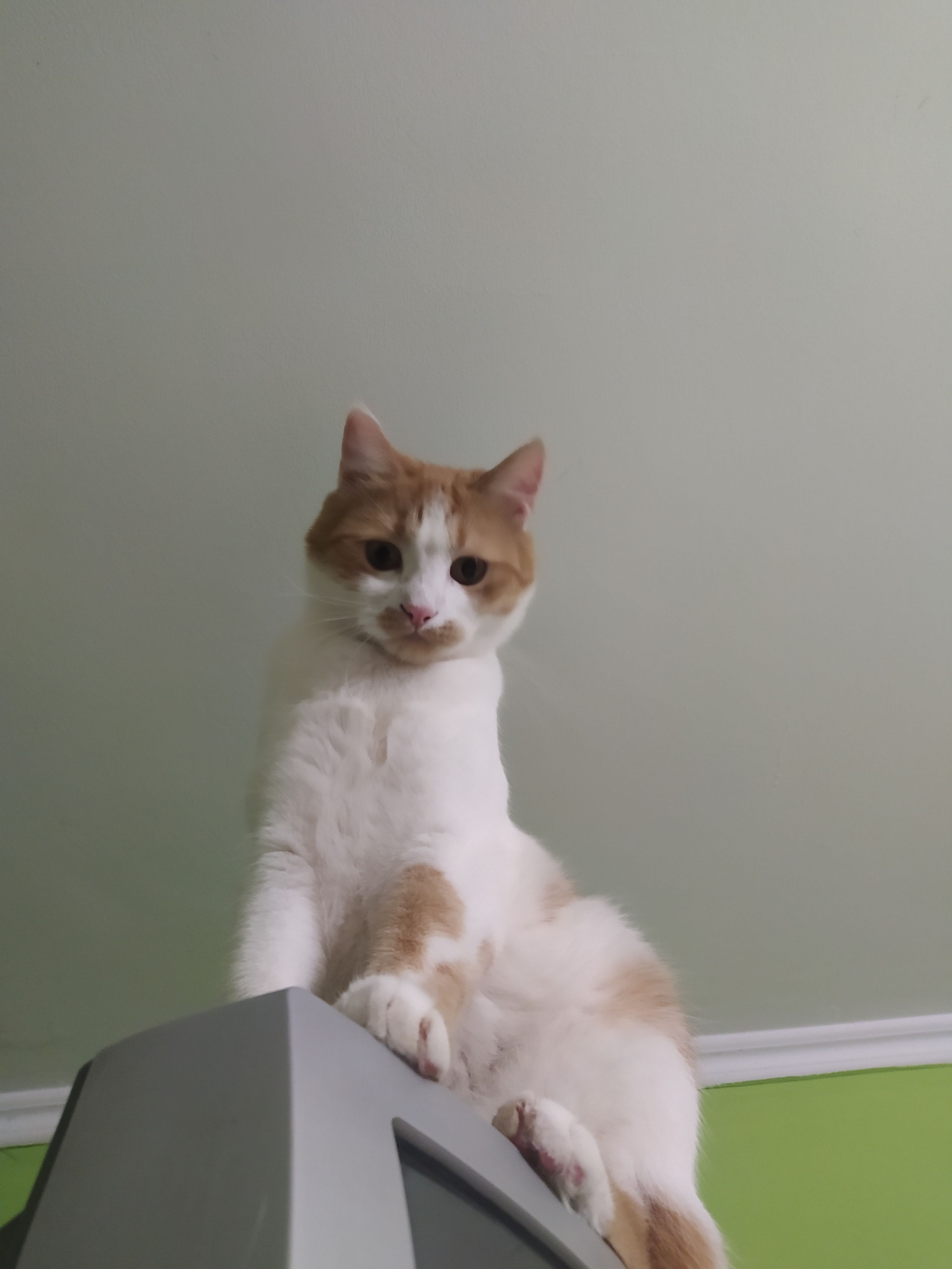 Andrii (did59.lens) Lens social identity (.lens handle) PFP