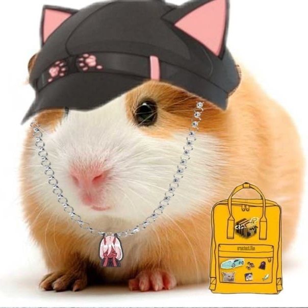 sukikirai.base.eth Basenames (.base.eth domains) based on ENS PFP