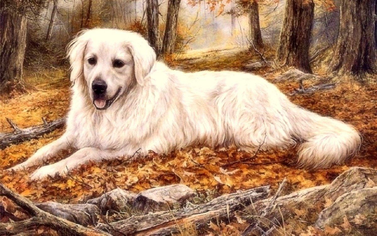 kontana (luxembourg.lens) Lens social identity (.lens handle) PFP