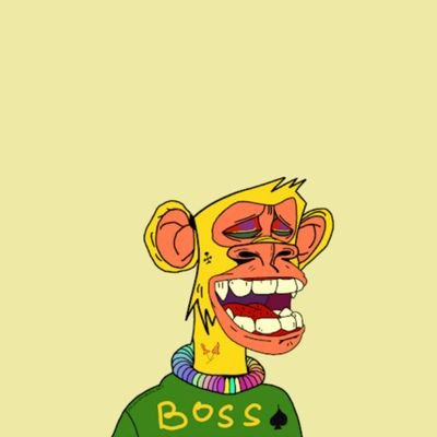 Amir's Lens avatar