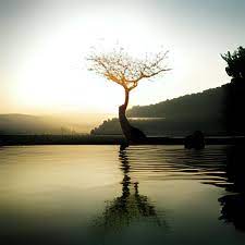 Men (ences.lens) Lens social identity (.lens handle) PFP