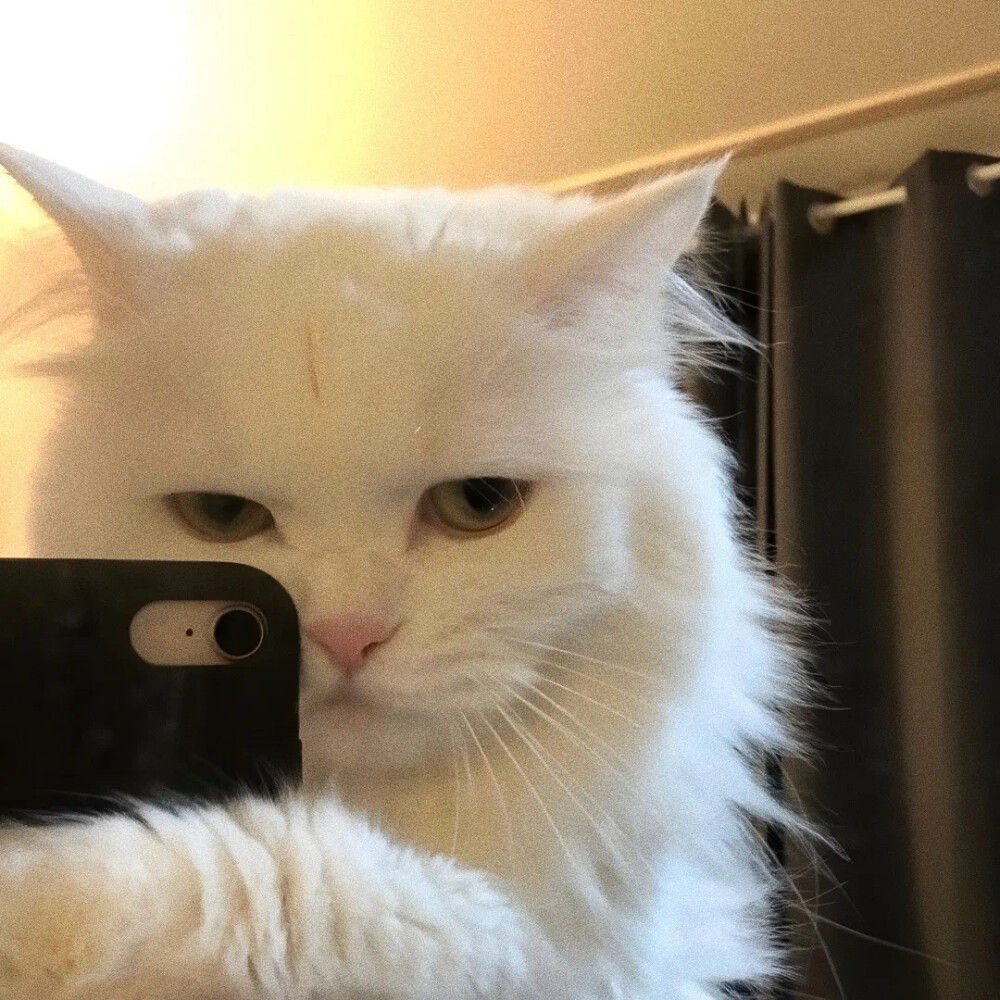 Bkie (uyiloyo.lens) Lens social identity (.lens handle) PFP