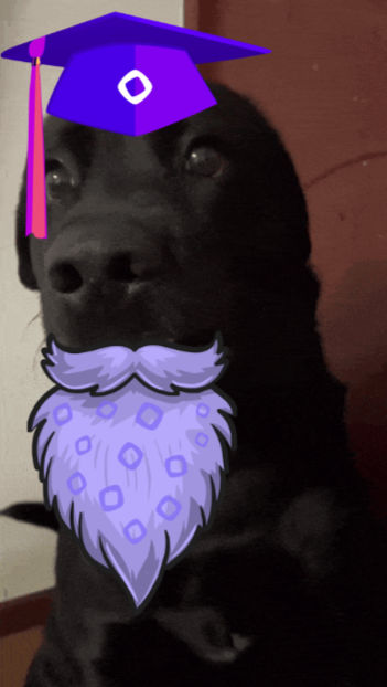 adi778899 (adi778899.lens) Lens social identity (.lens handle) PFP