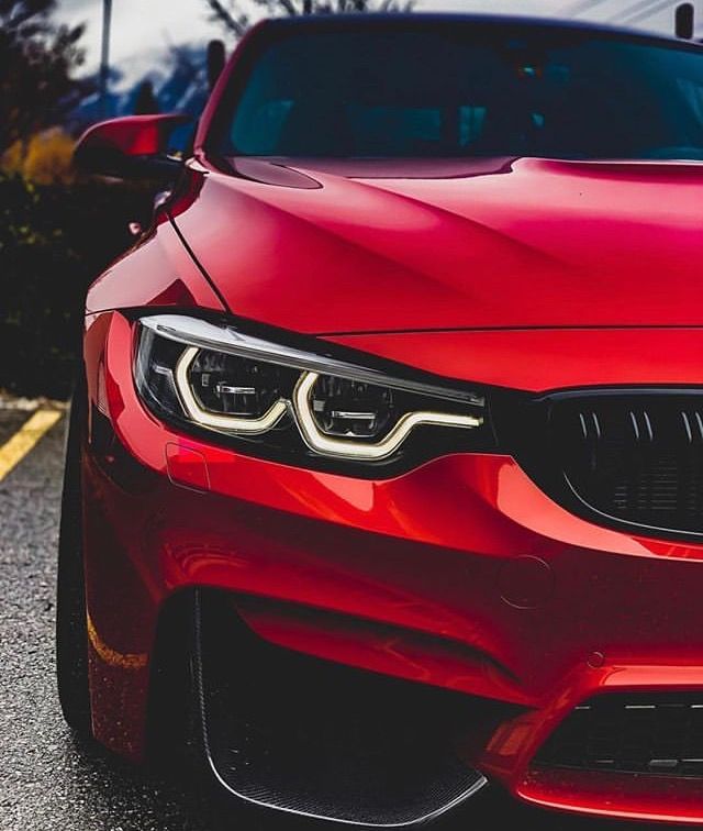 Dwaynee (dwayne1.lens) Lens social identity (.lens handle) PFP