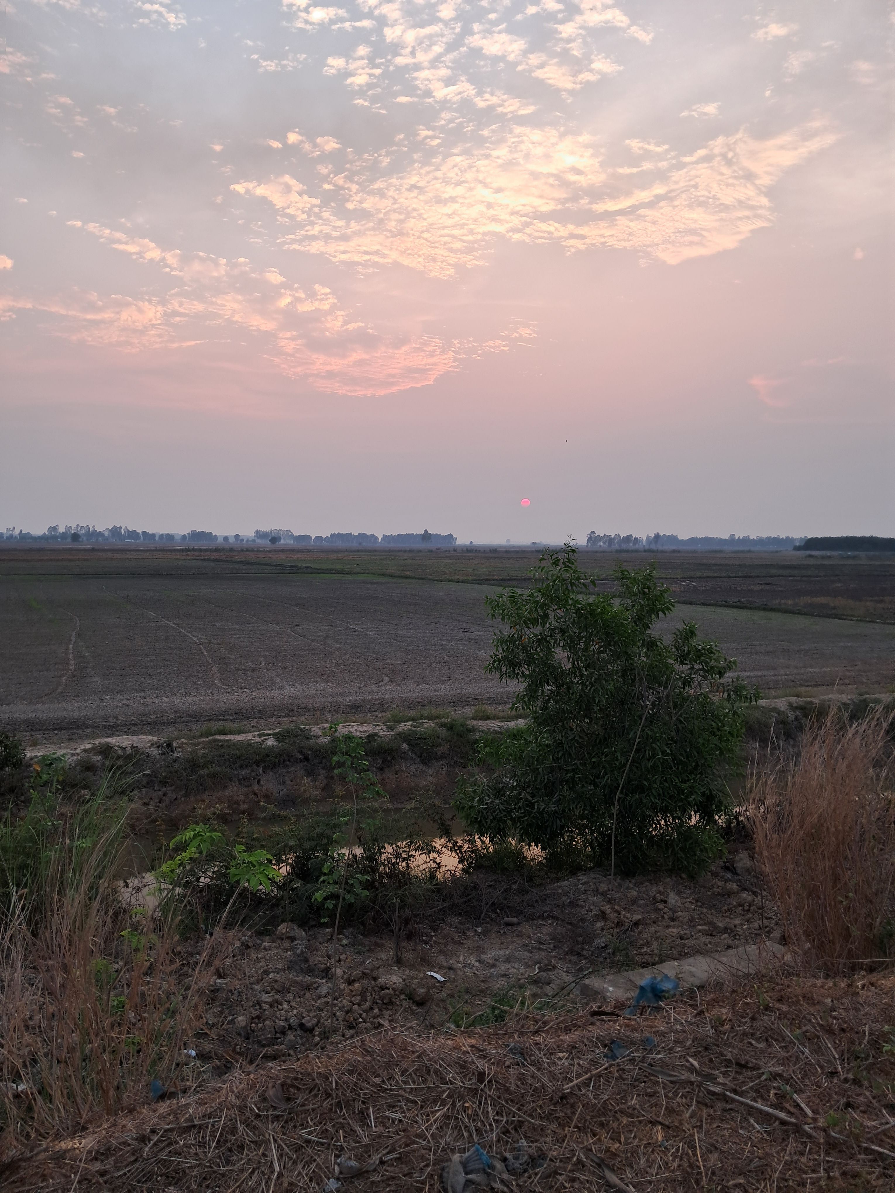 Hoang hon (laptop234.lens) Lens social identity (.lens handle) PFP