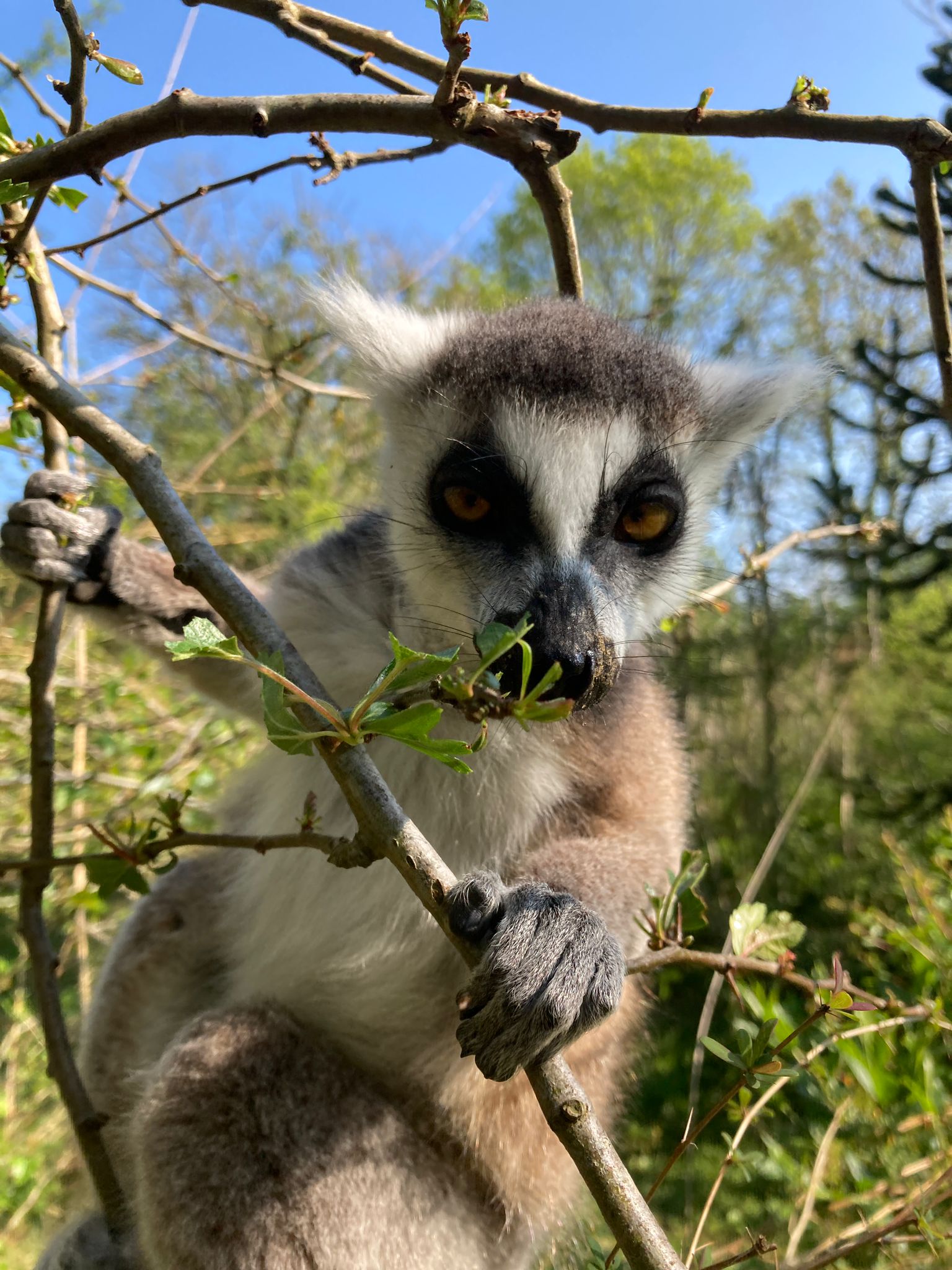 Maria (mariavw.lens) Lens social identity (.lens handle) PFP