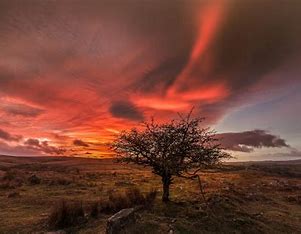 apols (apols.lens) Lens social identity (.lens handle) PFP