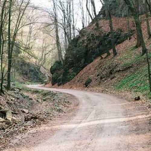 Alex Musc (alexmusc.lens) Lens social identity (.lens handle) PFP