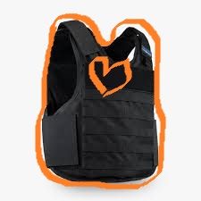 vestforrescue (vestforrescue.lens) Lens social identity (.lens handle) PFP